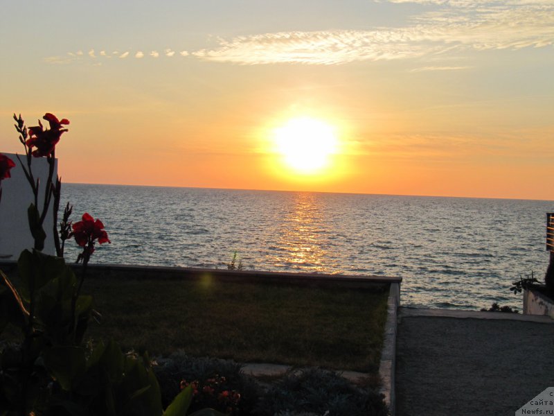 Фотография № 192448