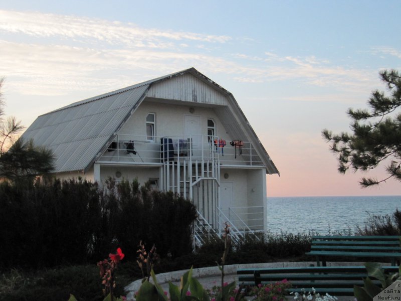 Фотография № 192449