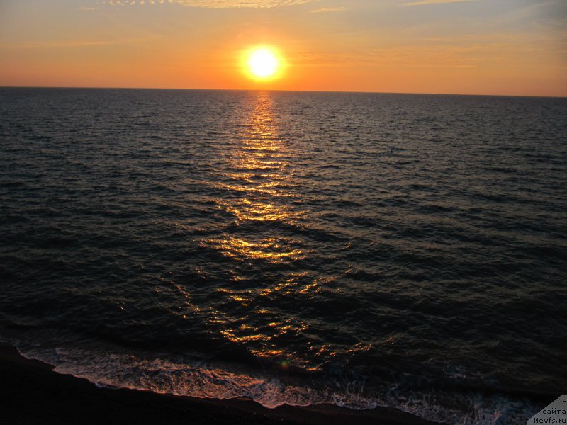 Фотография № 192450