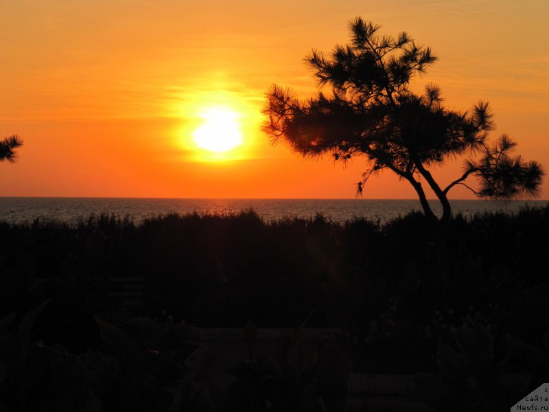 Фотография № 192452