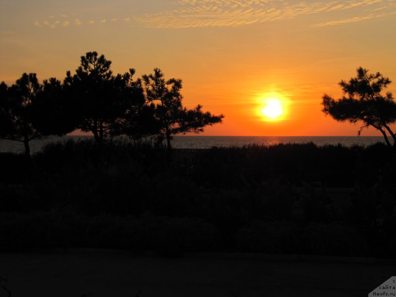 Фотография № 192453