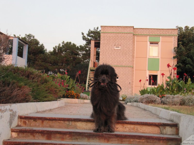 Фотография № 192454