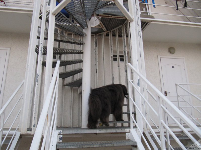 Фотография № 192456