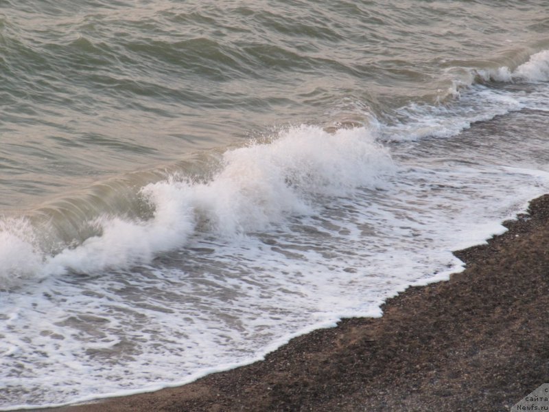 Фотография № 192457