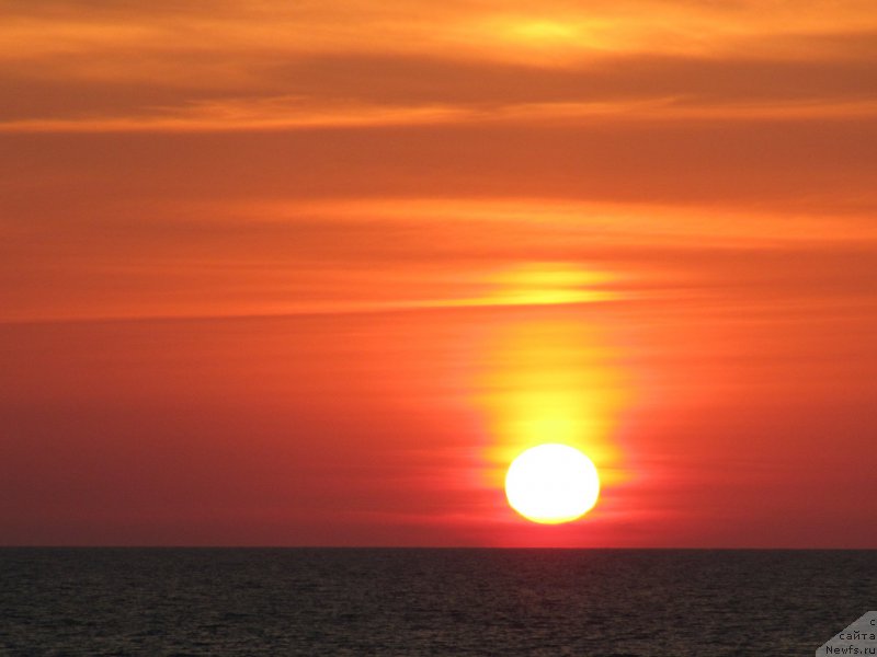 Фотография № 192458