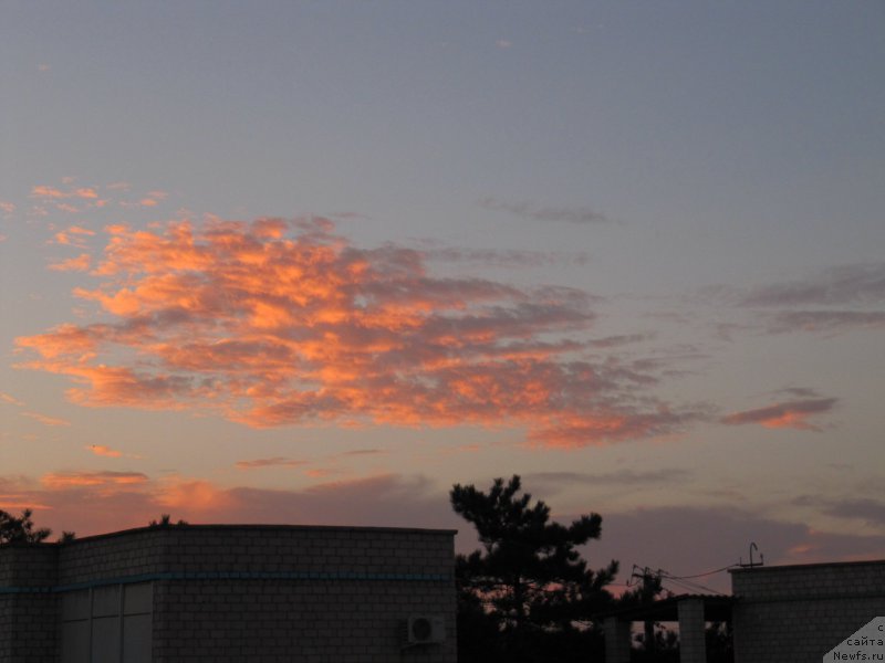 Фотография № 192461