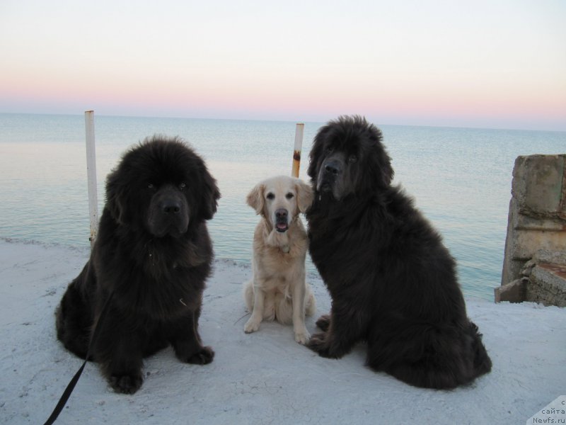 Фотография № 192462