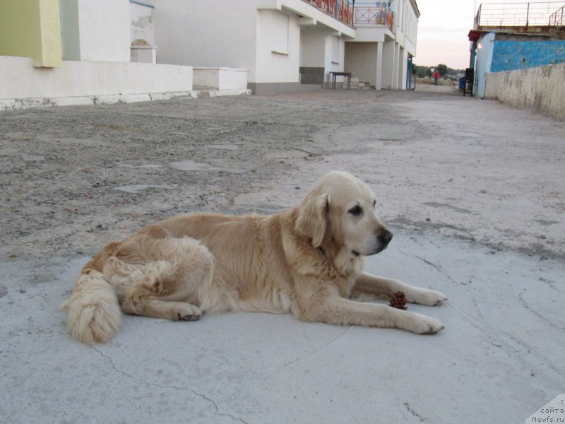 Фотография № 192463