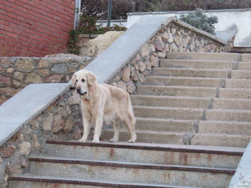 Фотография № 192464