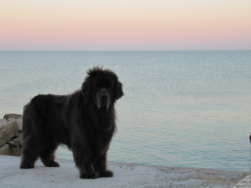 Фотография № 192465