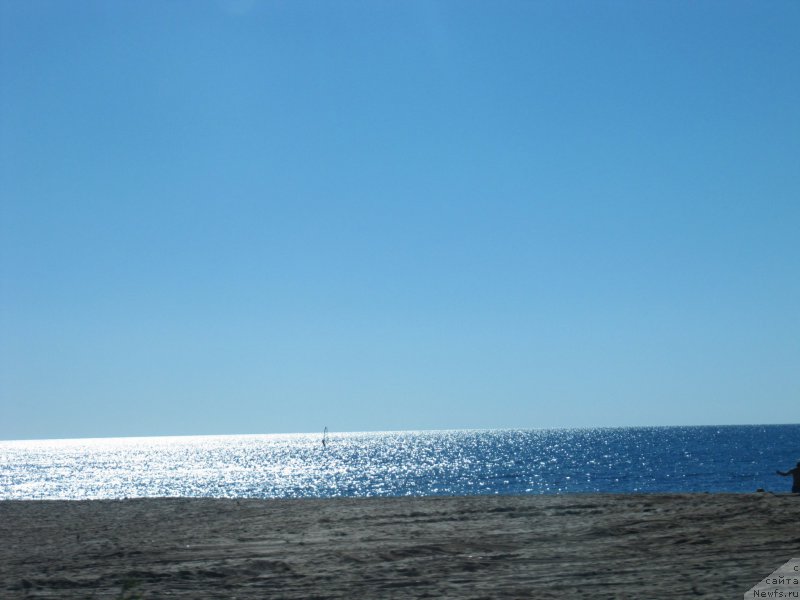 Фотография № 192466