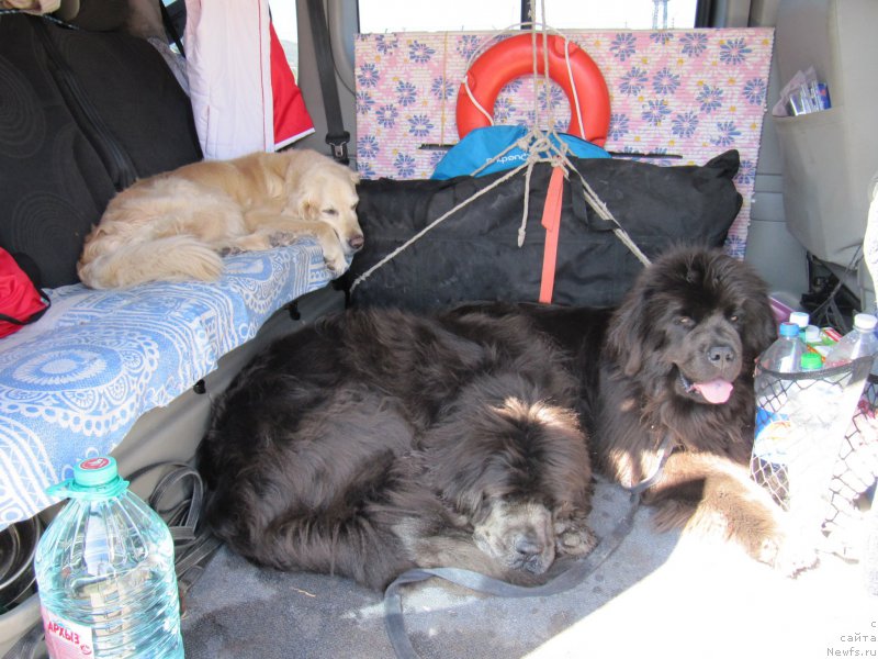 Фотография № 192467