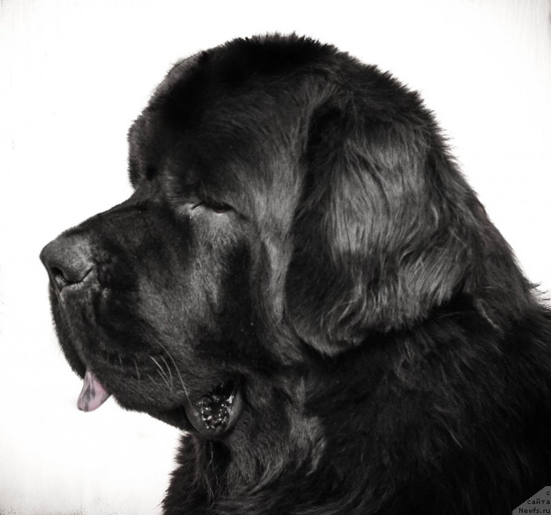 Фотография № 192497