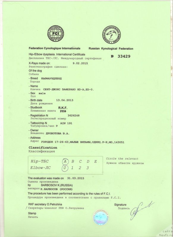 Фотография № 192506