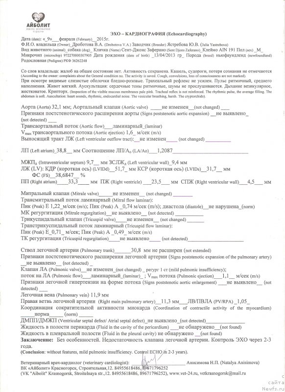 Фотография № 192508