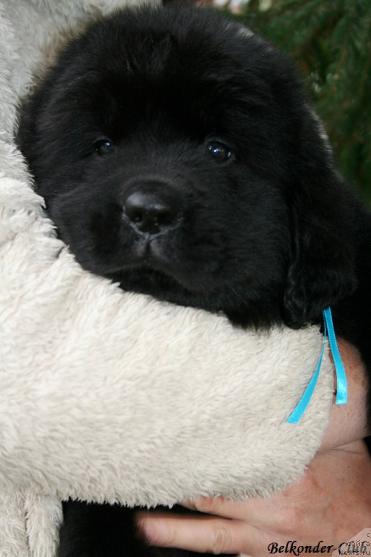 Фотография № 192529