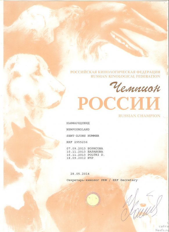 Фотография № 192539