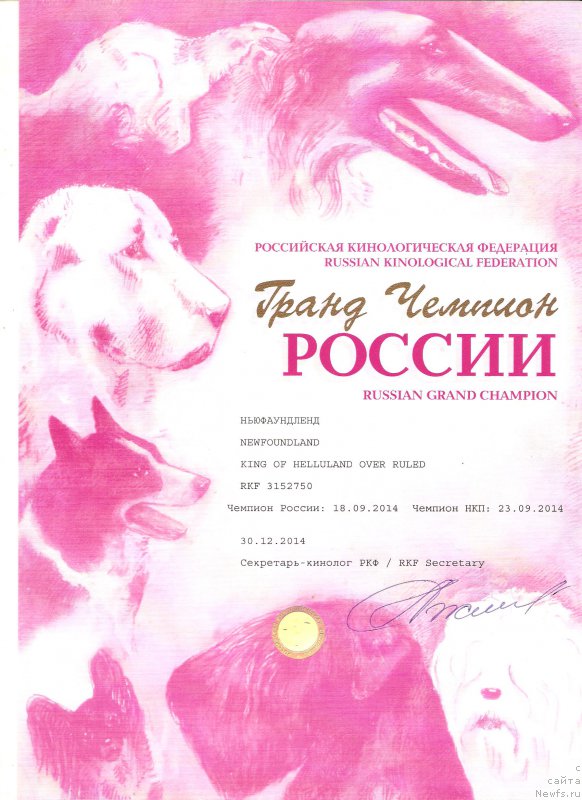 Фото: ньюфаундленд King of Helluland Over Ruled