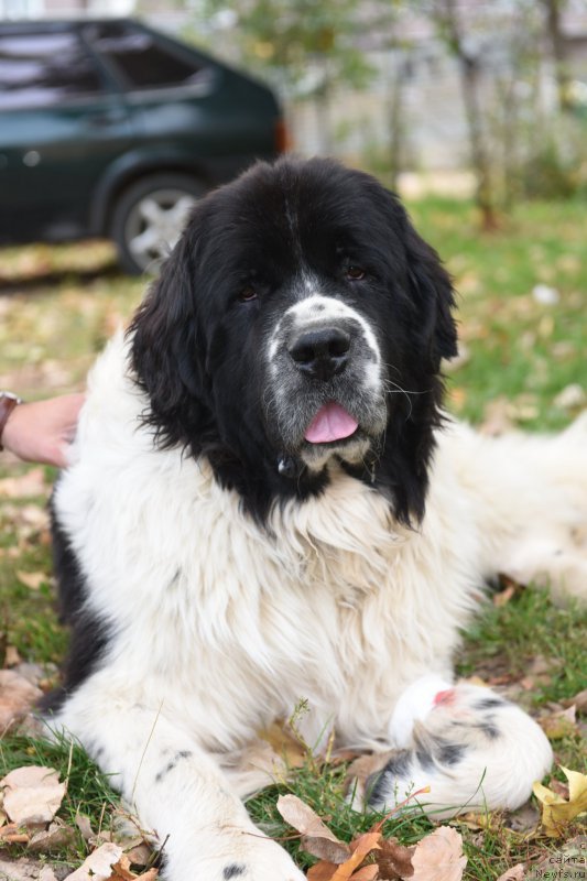 Фотография № 192544