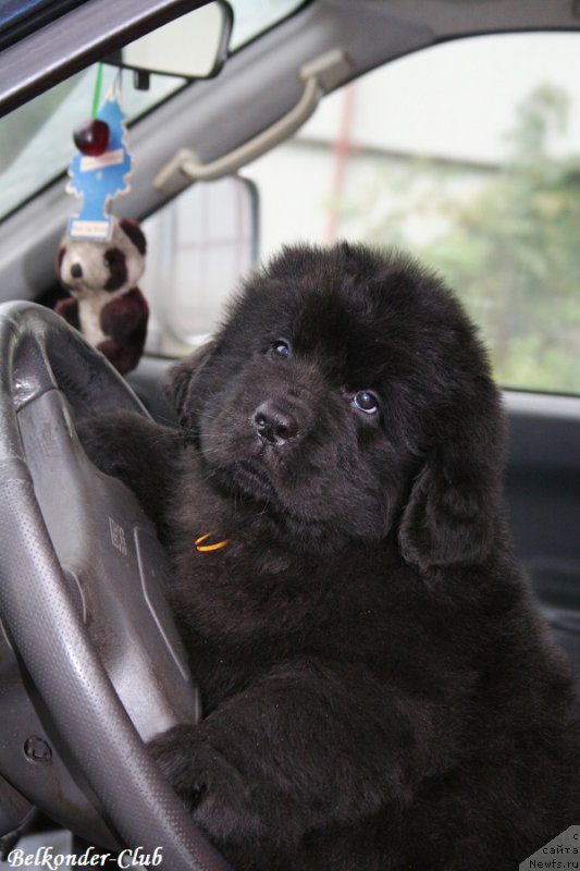 Фотография № 192558