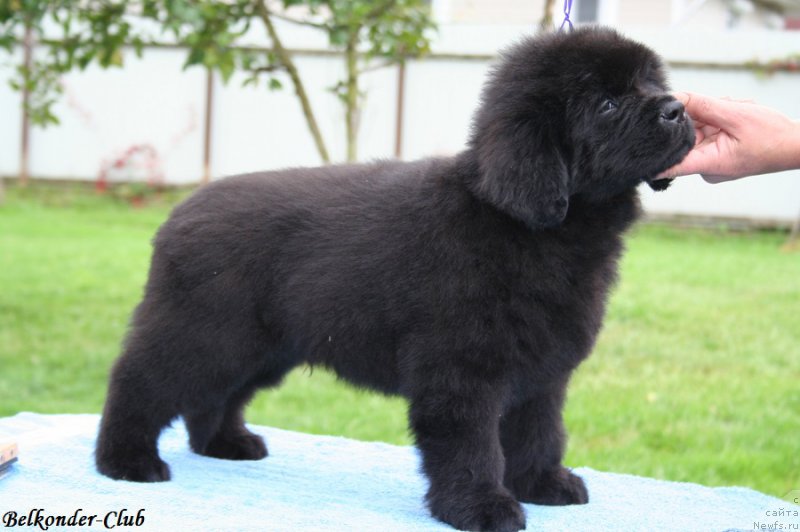 Фотография № 192560