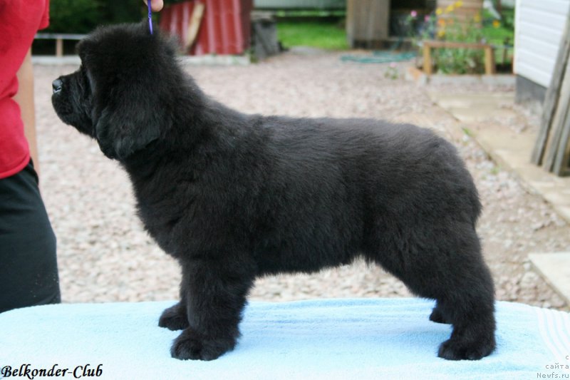 Фотография № 192561