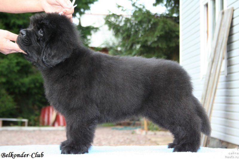 Фотография № 192570