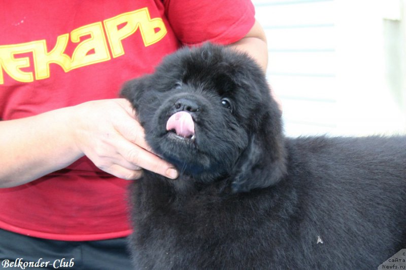 Фотография № 192579