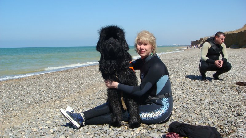 Фотография № 192590