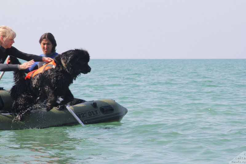 Фотография № 192594