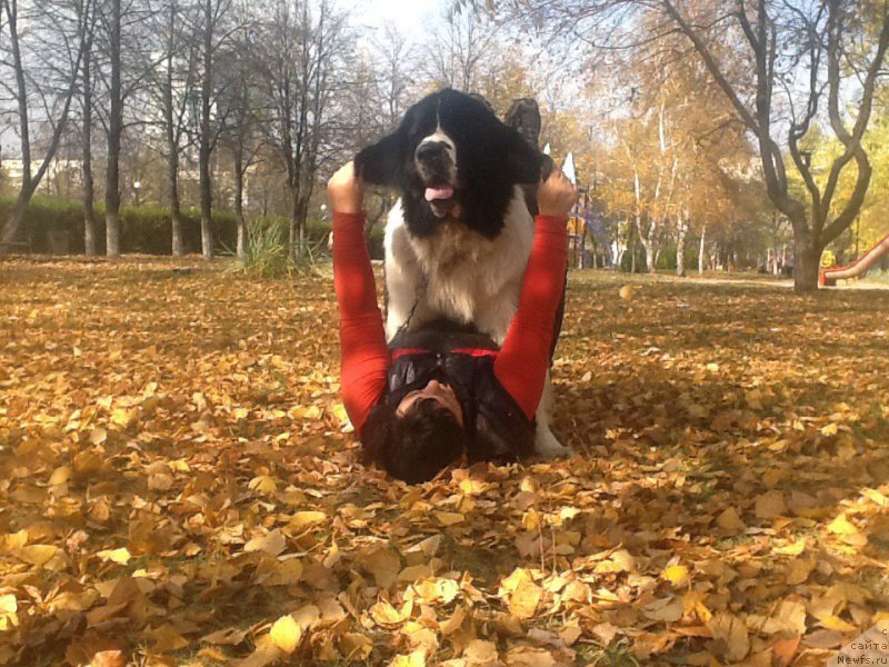 Фотография № 192605