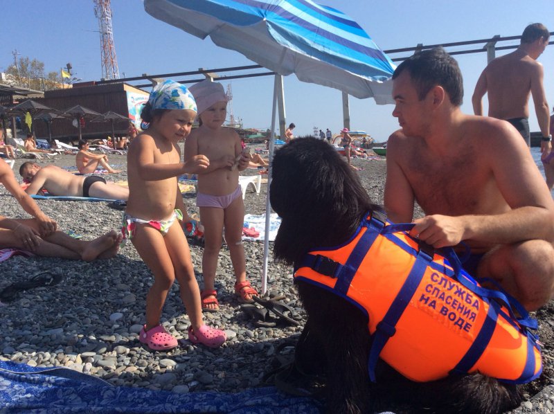 Фотография № 192607