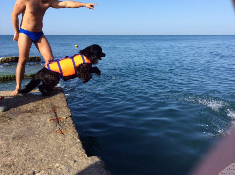 Фотография № 192608