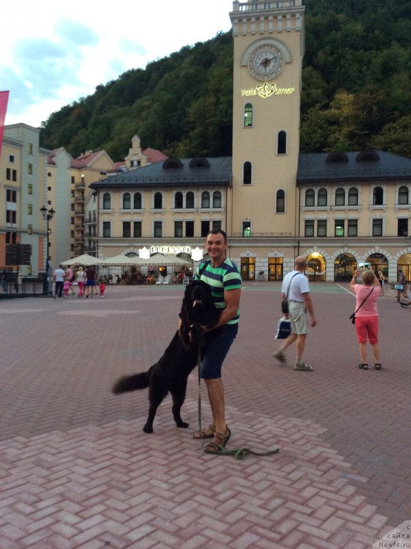 Фотография № 192611