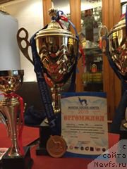 Фотография № 192619