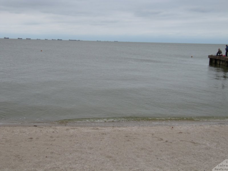 Фотография № 192629