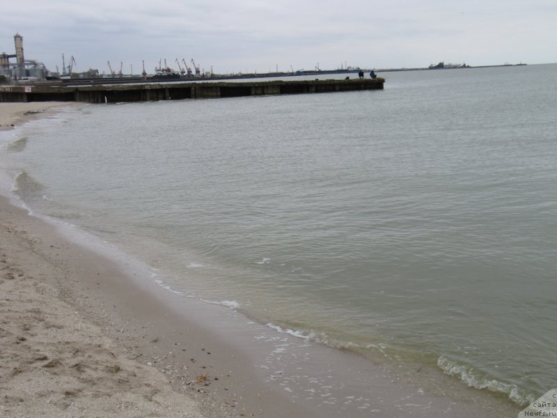 Фотография № 192630