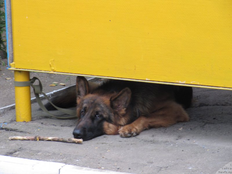 Фотография № 192663