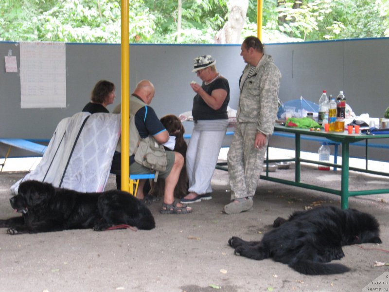 Фотография № 192664