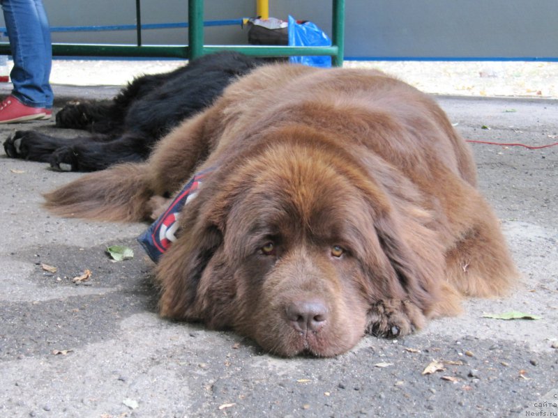 Фотография № 192666