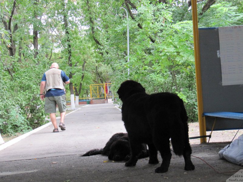 Фотография № 192667