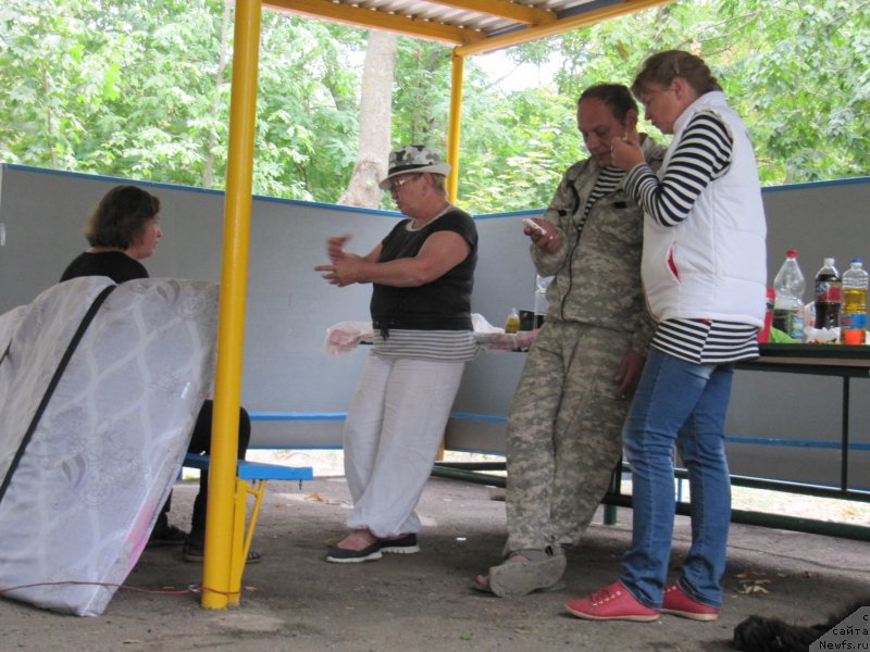 Фотография № 192668