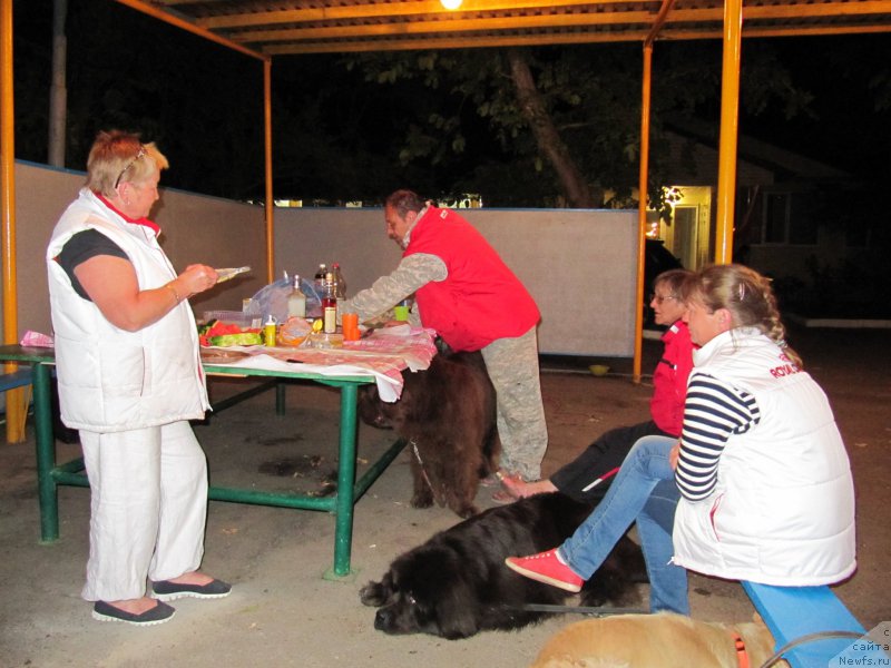 Фотография № 192672