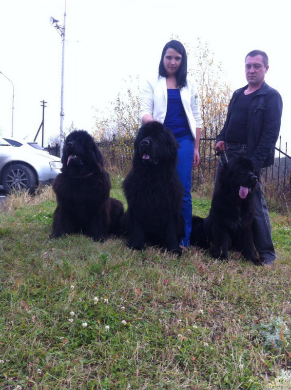 Фотография № 192679