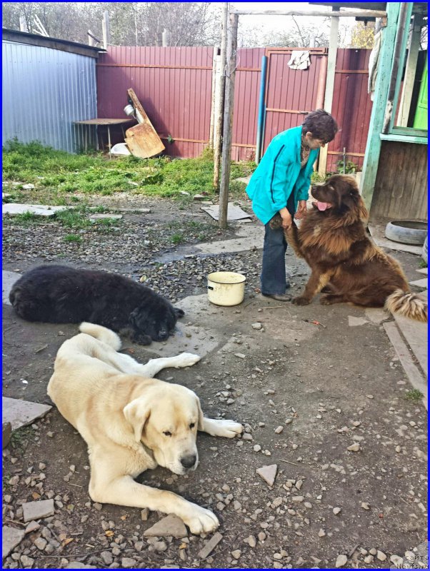 Фотография № 192685