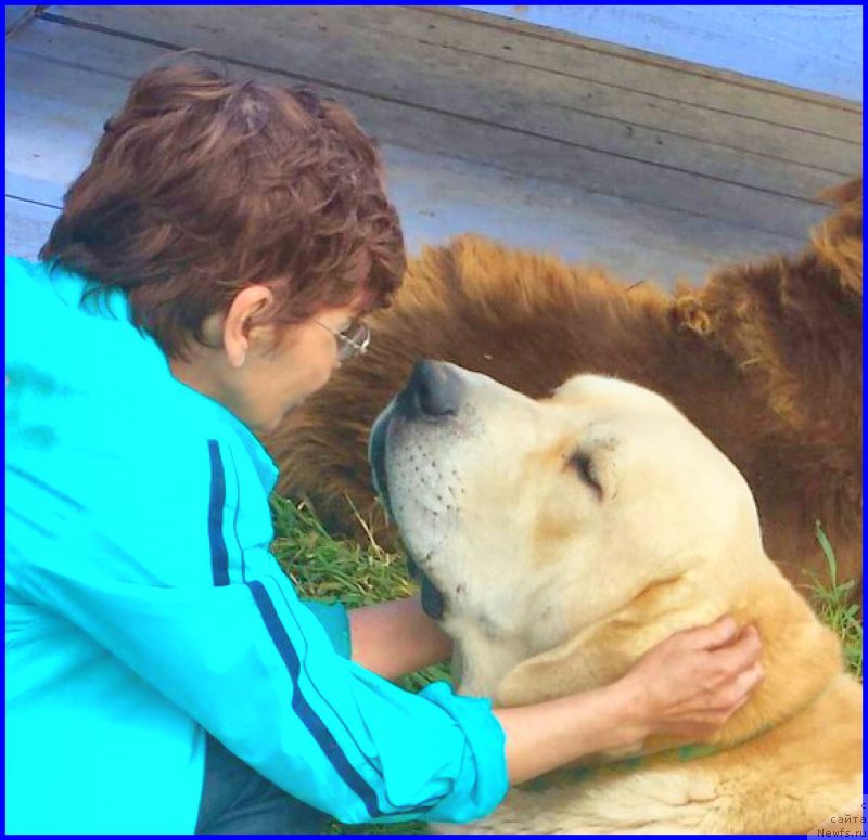 Фотография № 192686