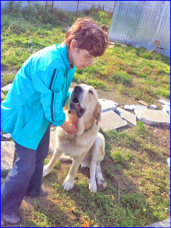 Фотография № 192688