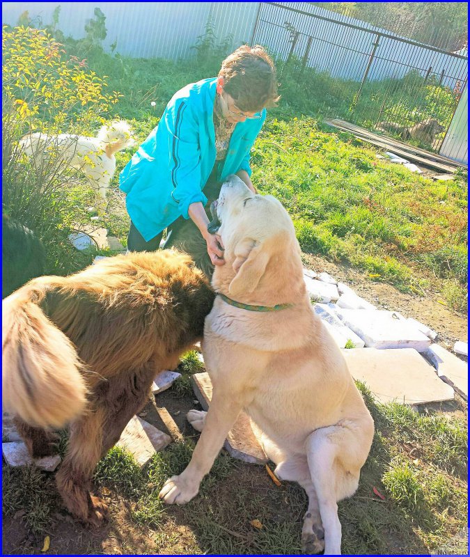 Фото: Lena Zyirina (Лена Зырина), Aliya Isaeva (Алия Исаева)