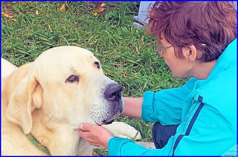 Фотография № 192695