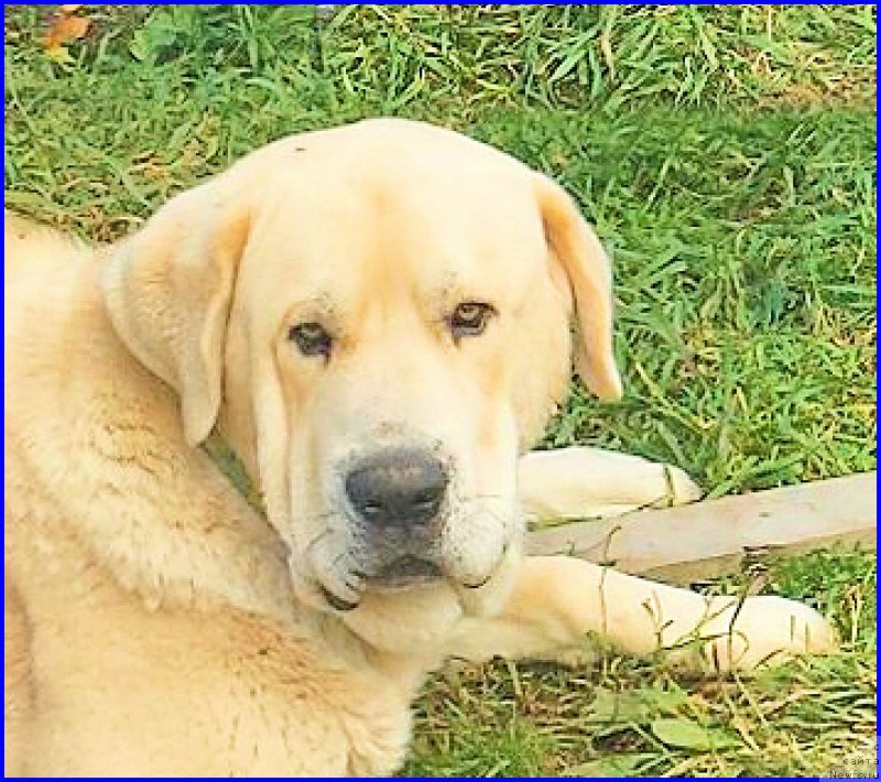 Фото: Lena Zyirina (Лена Зырина)